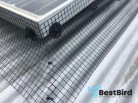 Best Bird Proofing Sydney image 2